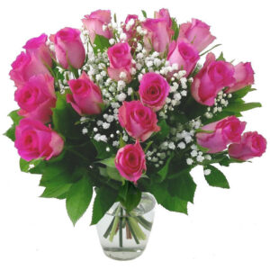 20 Pink Roses with Gyp