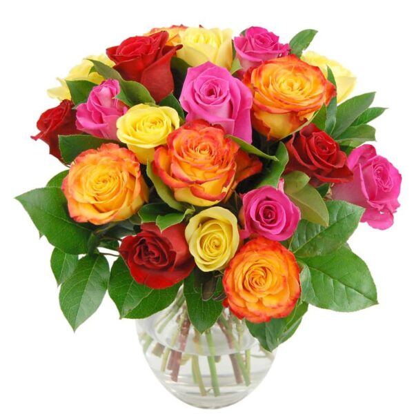 Rainbow Roses